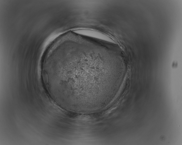 X0000094380294200711242028