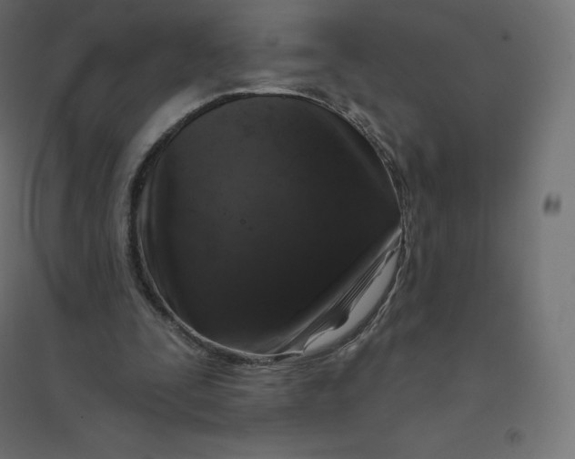 X0000094380295200711242028