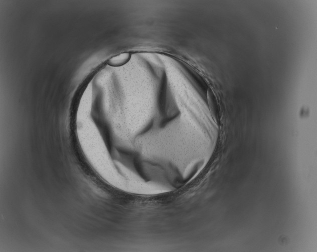 X0000094380296200711242028