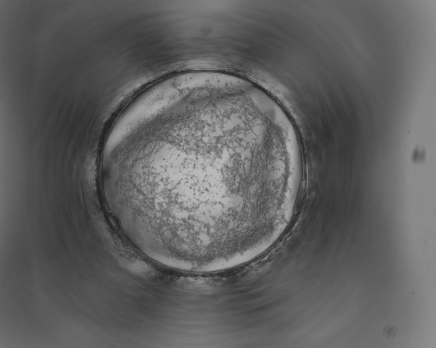 X0000094380297200711242028