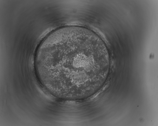 X0000094380298200711242028