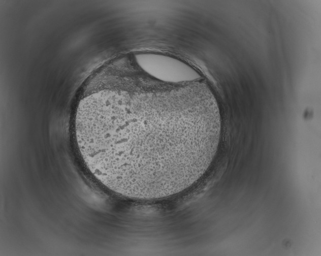 X0000094380299200711242028
