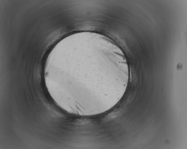 X0000094380300200711242028