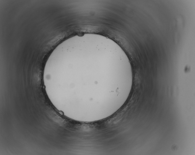 X0000094380305200711242028