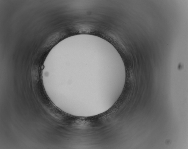X0000094380311200711242028