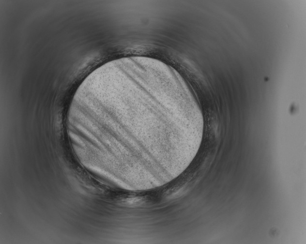 X0000094380312200711242028