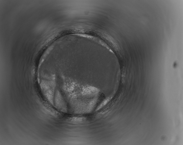 X0000094380314200711242028