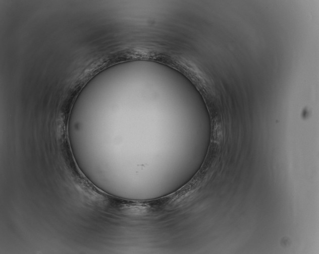 X0000094380318200711242028