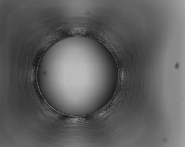 X0000094380323200711242028