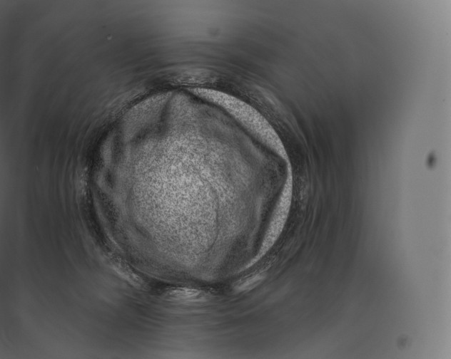 X0000094380326200711242028
