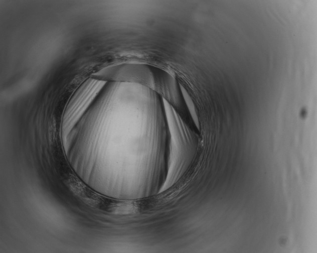 X0000094380335200711242027