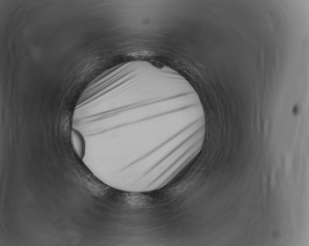 X0000094380336200711242027