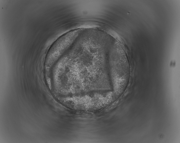X0000094380337200711242027