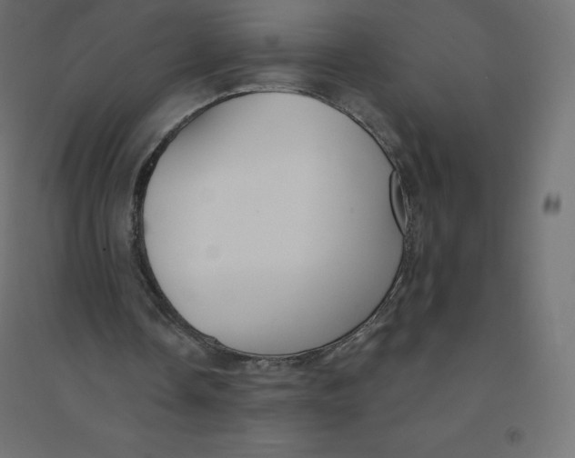 X0000094380338200711242027