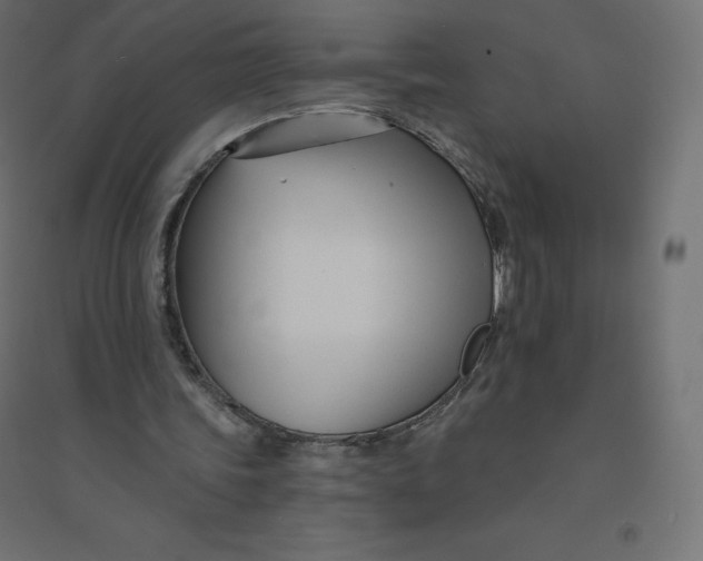 X0000094380339200711242027