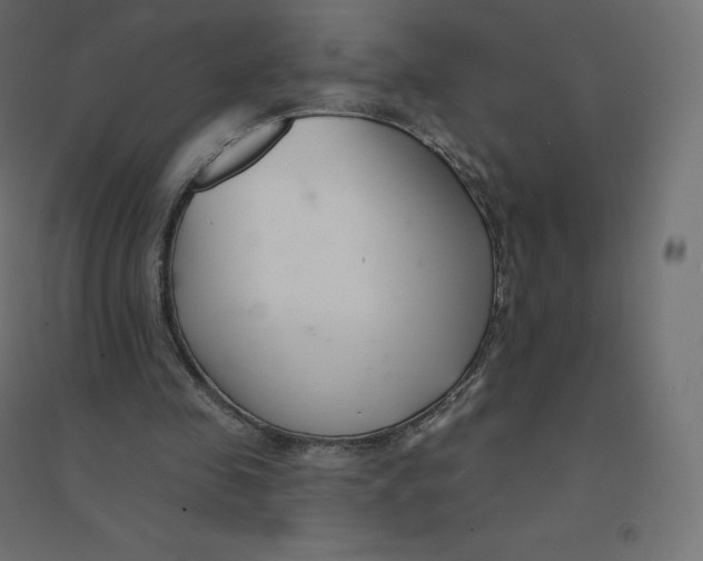 X0000094380341200711242027