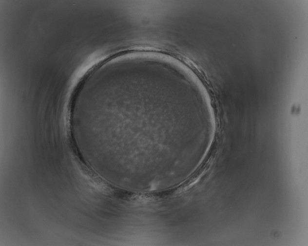 X0000094380343200711242027