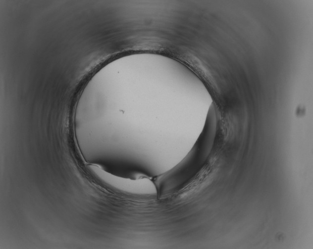 X0000094380348200711242027