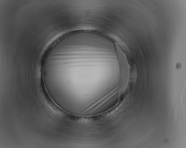 X0000094380350200711242027