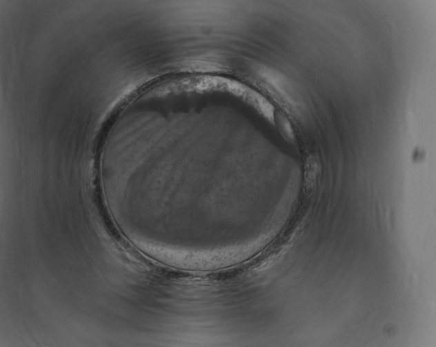 X0000094380351200711242027