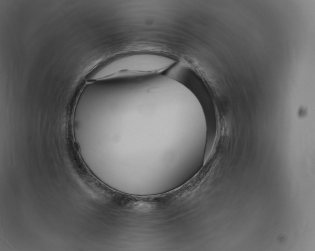 X0000094380352200711242027