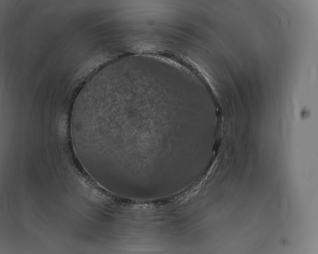 X0000094380353200711242027