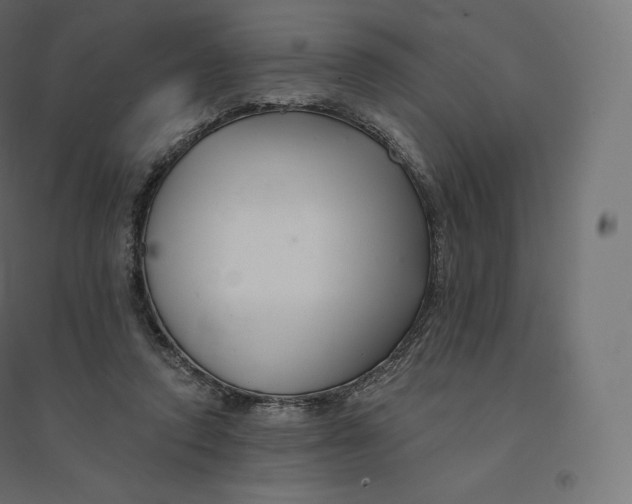 X0000094380354200711242027