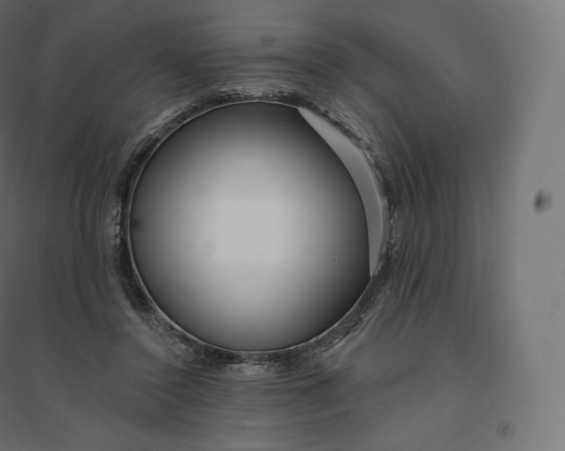 X0000094380356200711242027