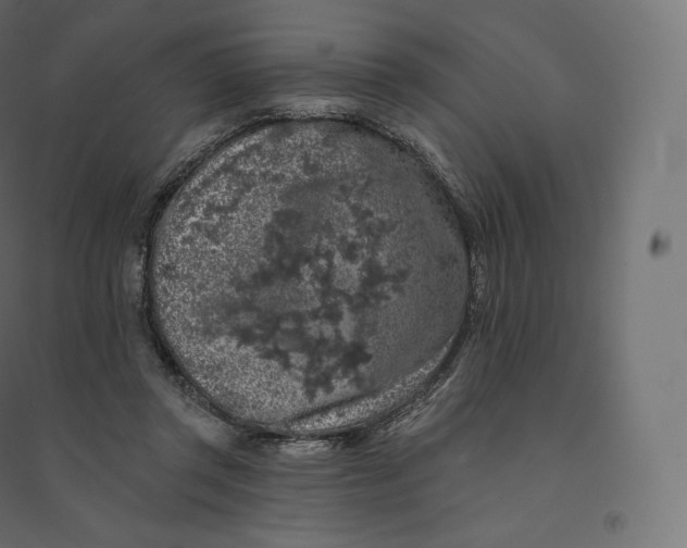 X0000094380357200711242027