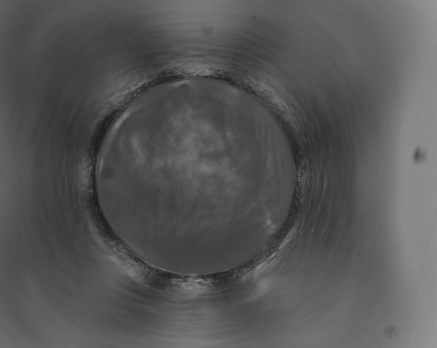 X0000094380359200711242027