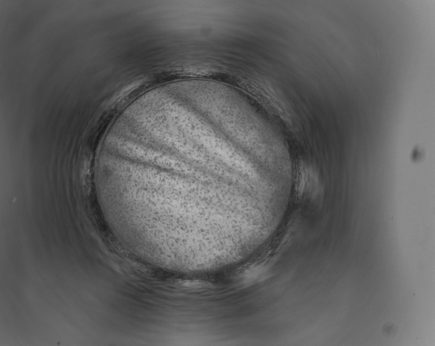 X0000094380360200711242027