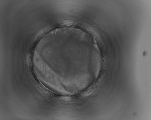 X0000094380361200711242027