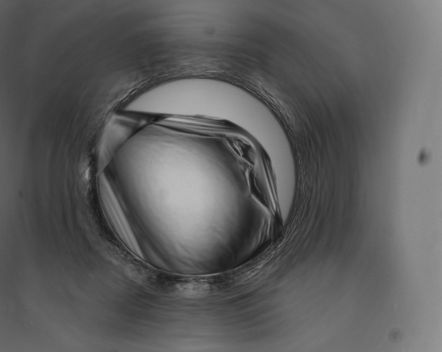 X0000094380362200711242027