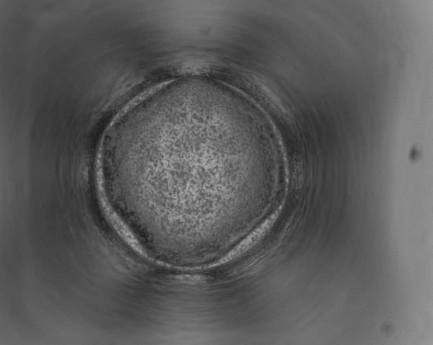 X0000094380363200711242027