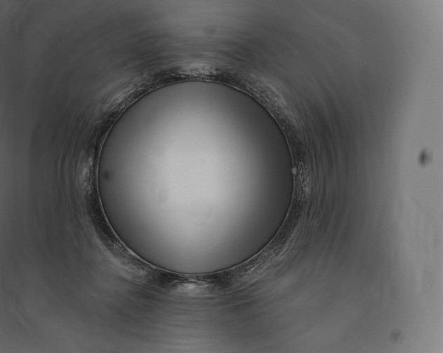 X0000094380364200711242027