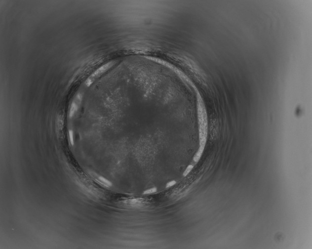 X0000094380365200711242027