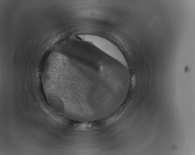 X0000094380366200711242027
