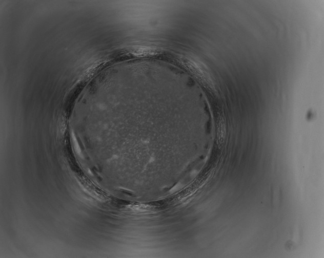 X0000094380367200711242027