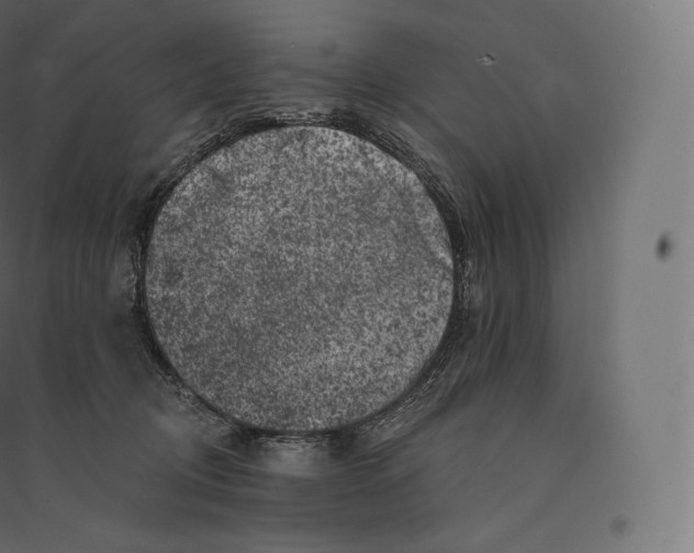 X0000094380370200711242027