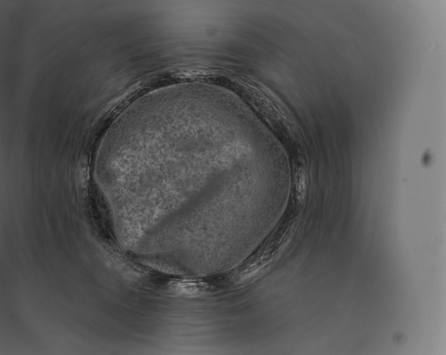 X0000094380372200711242027