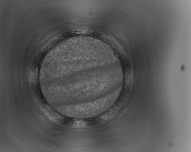 X0000094380376200711242027