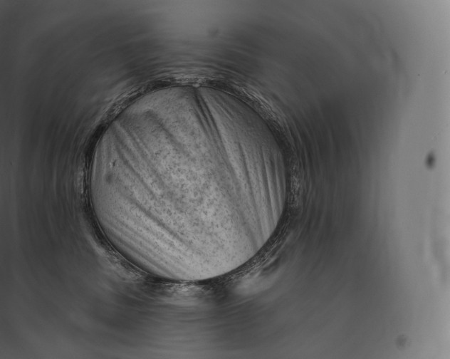 X0000094380379200711242027