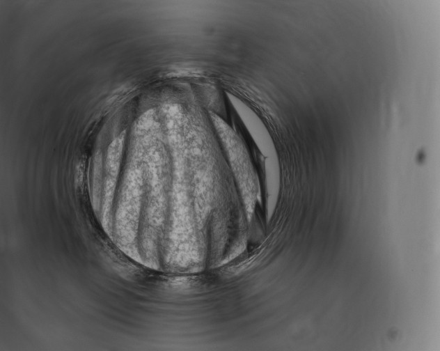 X0000094380382200711242027