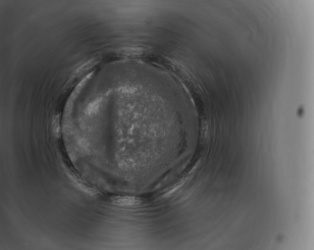 X0000094380383200711242027