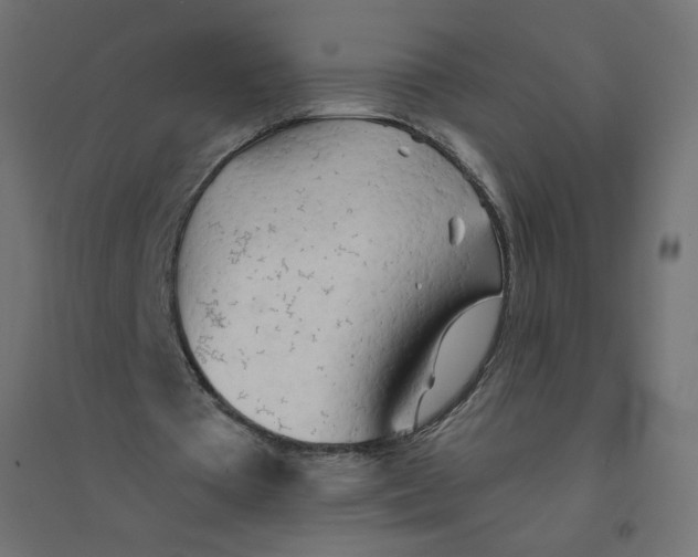 X0000094380385200711242027