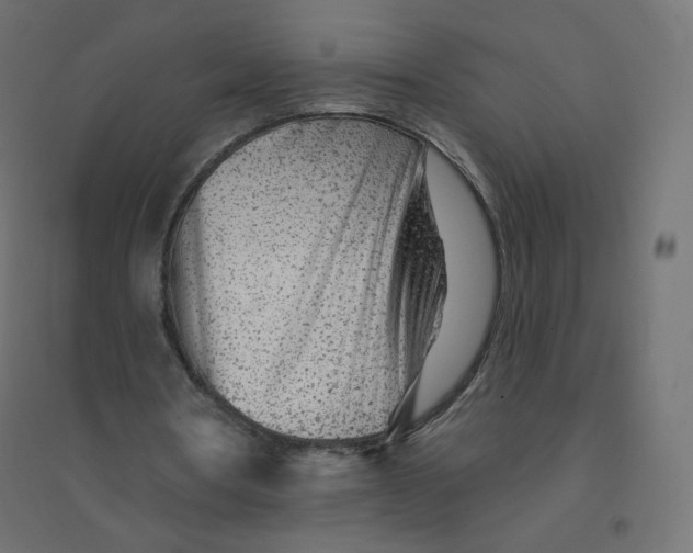X0000094380386200711242027