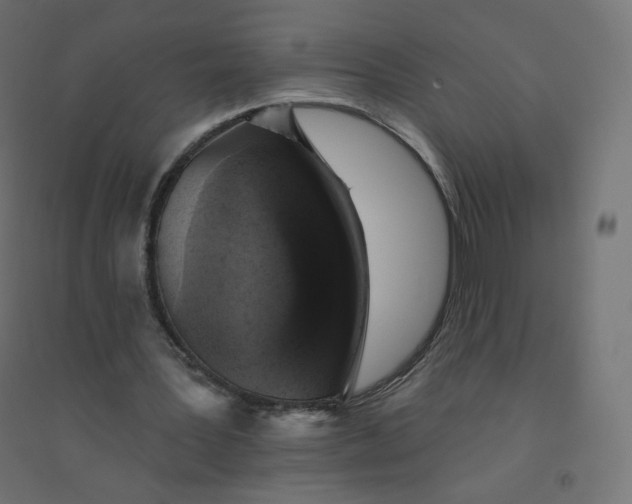 X0000094380387200711242027