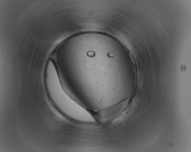 X0000094380389200711242027
