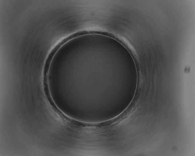X0000094380391200711242027