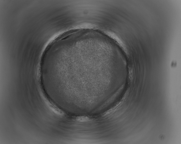X0000094380392200711242027